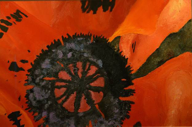'Poppy' by Leif Weigel